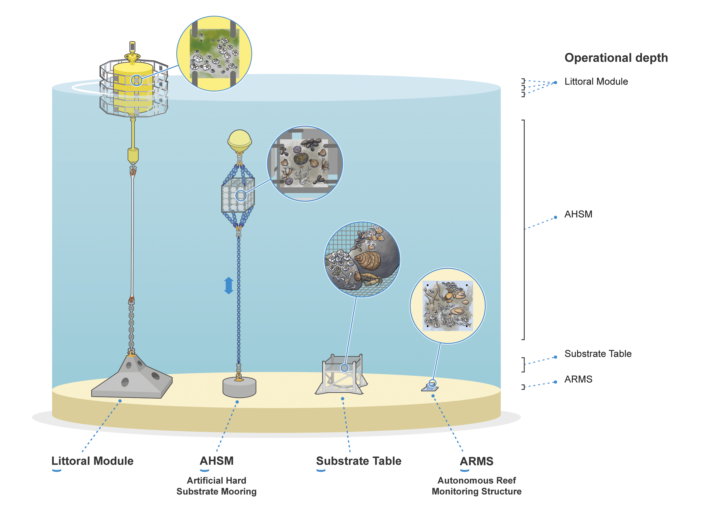  Overview of the different components available within the Artificial Hard Substrate Garden. ©Hendrik Gheerardyn