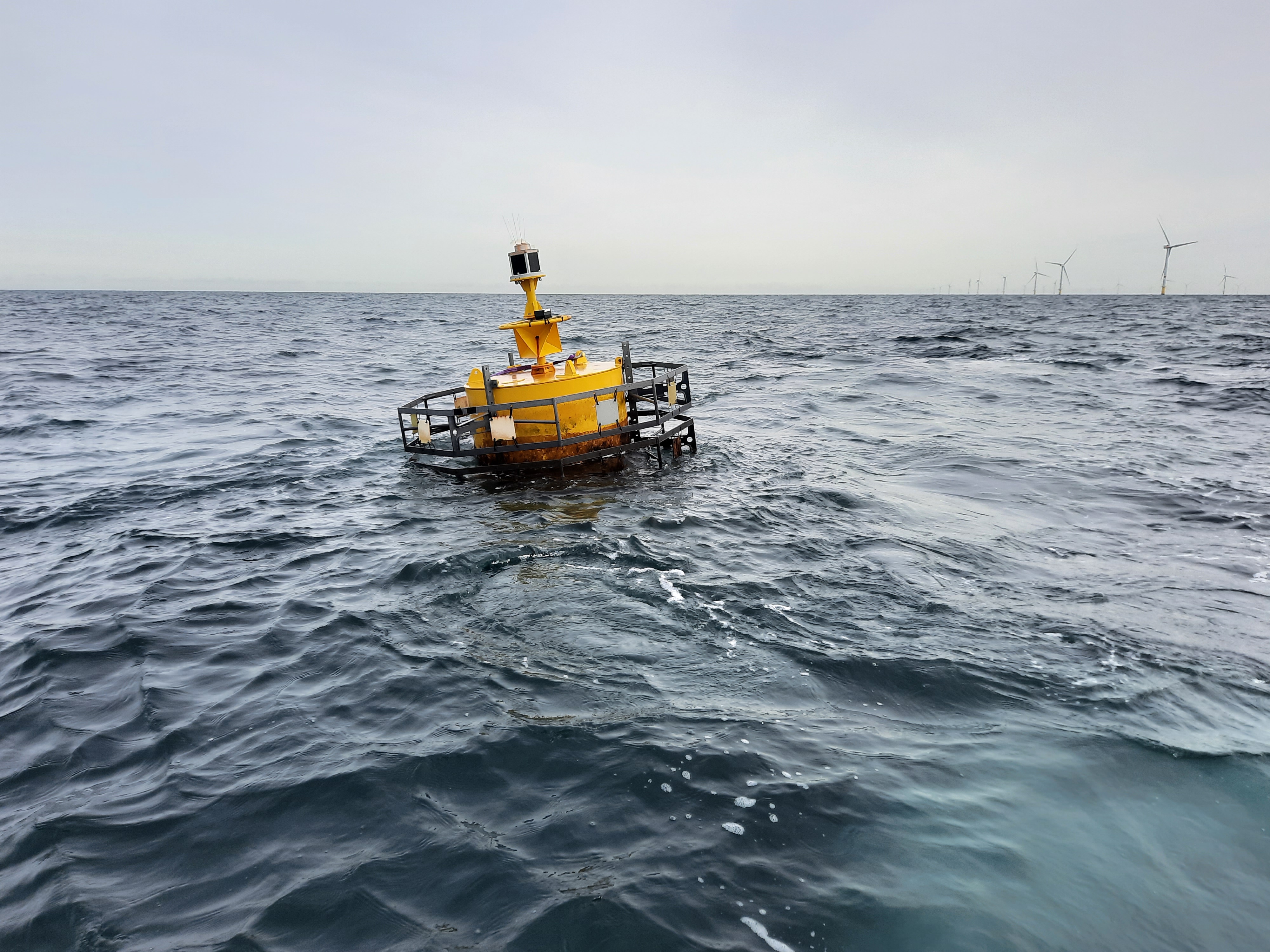   One Littoral Module, prior to the sampling event. ©Mareco – Institute of Natural Sciences