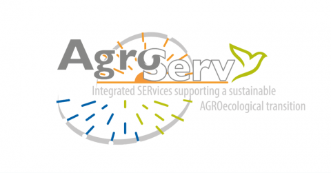 Agroserv logo